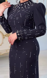 Long Sleeve Beaded Elegant Dress